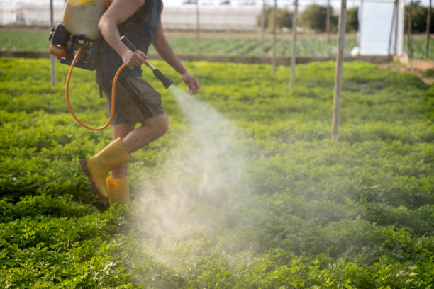 Best Mosquito Control Services  in Mcconnell Af, KS