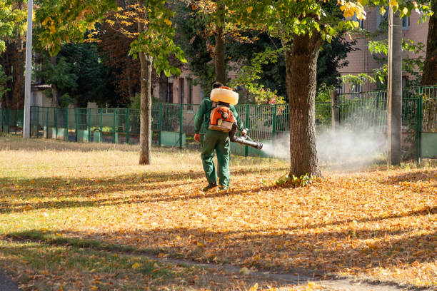Best Ant Control Services  in Mcconnell Af, KS
