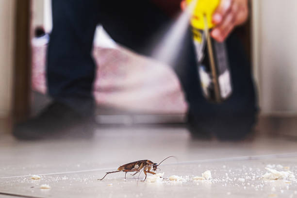 Best Residential Pest Control  in Mcconnell Af, KS