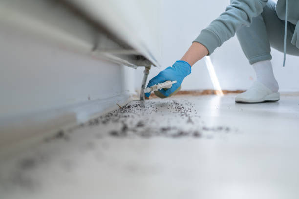 Best Best Pest Control Companies  in Mcconnell Af, KS